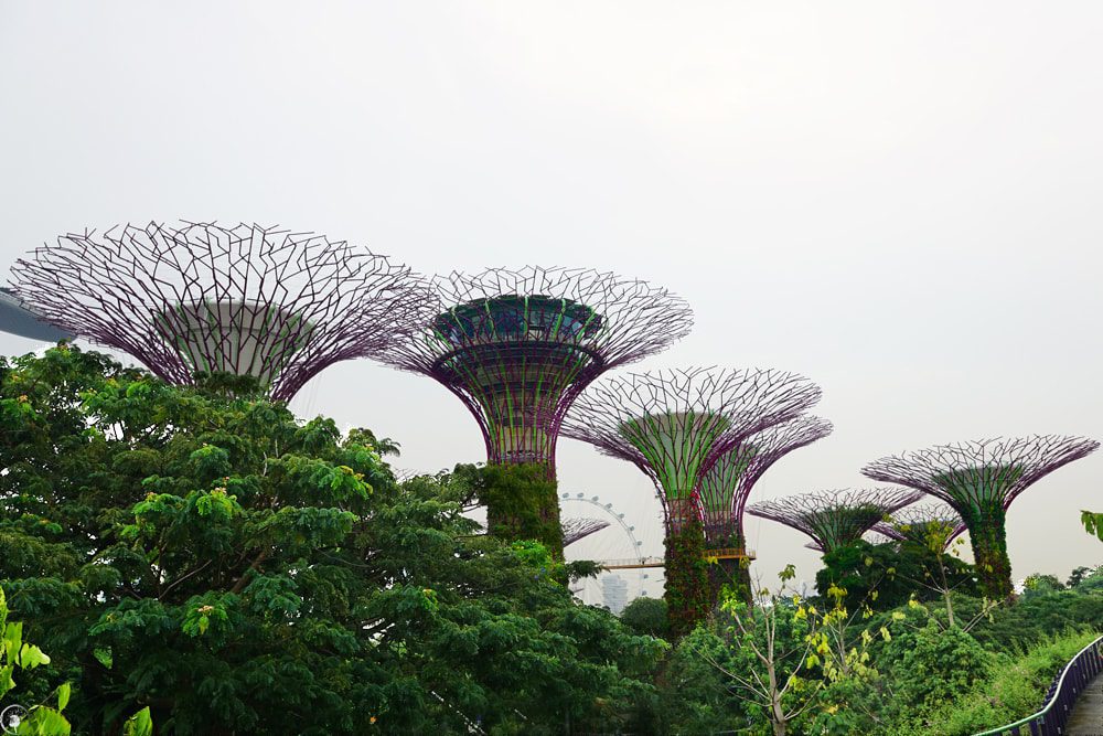 Gardens by the Bay, Supertrees